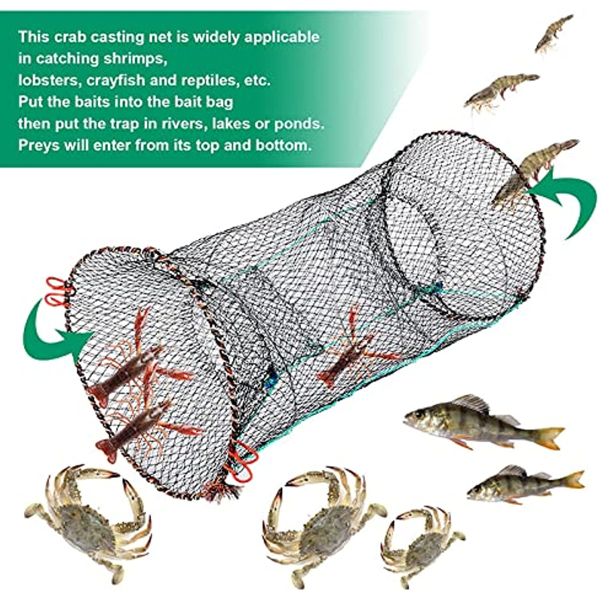 Collapsible Fishing Bait Trap for Crab Minnow Crawfish Lobster and Shrimp