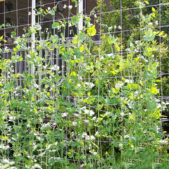 Plant Climbing Net 152x457cm Garden Plant Support