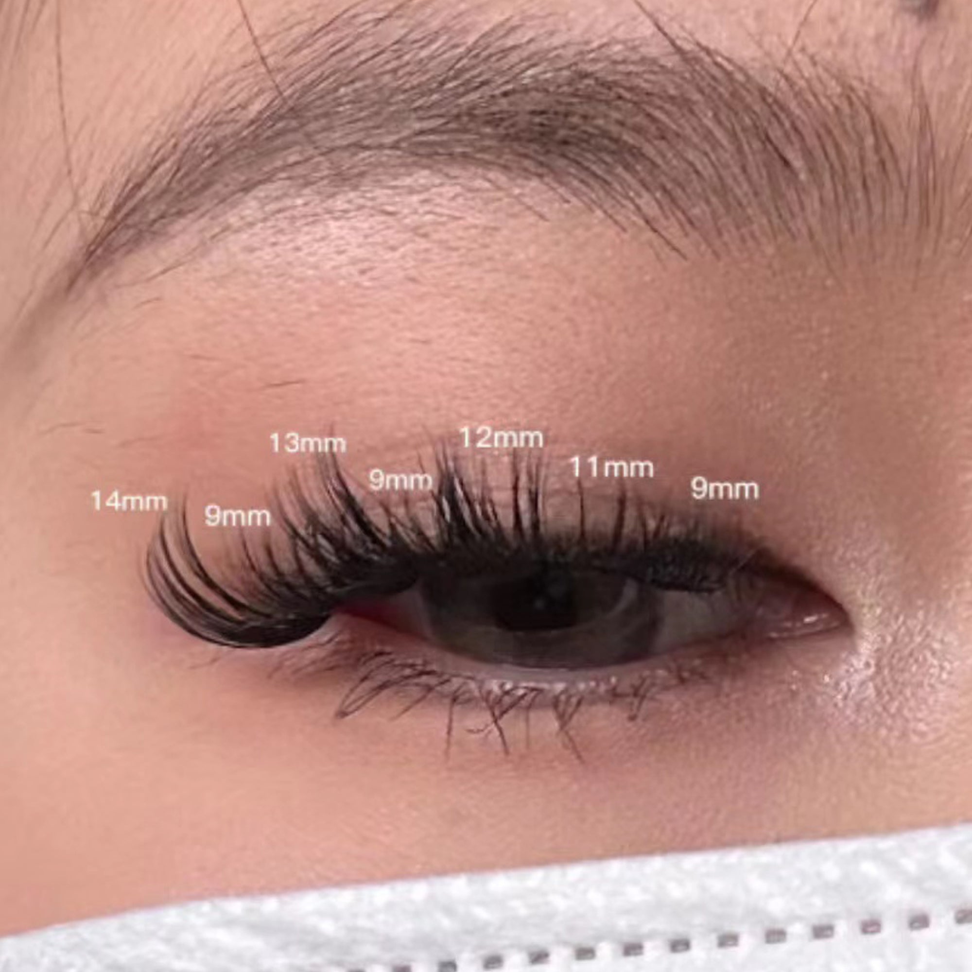 Soft Natural C Curling Cluster Lashes 6-12mm Individual Lashes Extensions