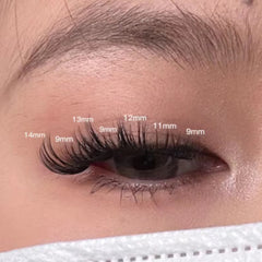 Soft Natural C Curling Cluster Lashes 6-12mm Individual Lashes Extensions
