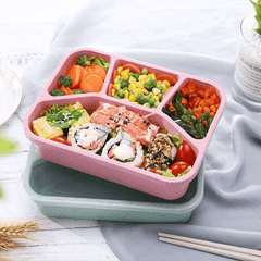 Microwave Bento Lunch Box Divided Leakproof Container Hand Wash Back School