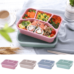 Microwave Bento Lunch Box Divided Leakproof Container Hand Wash Back School