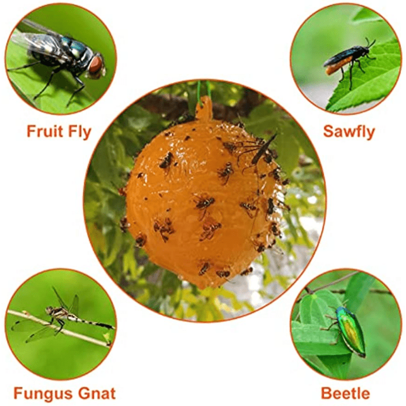 6 Pack Mosquito Fly Bait Balls for Indoor & Outdoor Pest Control
