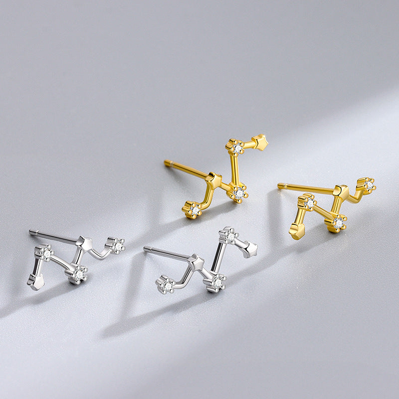 S925 Silver Rhinestone Stud Earrings & Fashionable Jewelry for Women