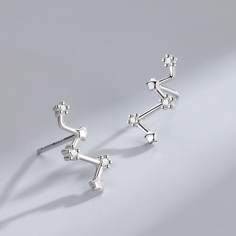 S925 Silver Rhinestone Stud Earrings & Fashionable Jewelry for Women