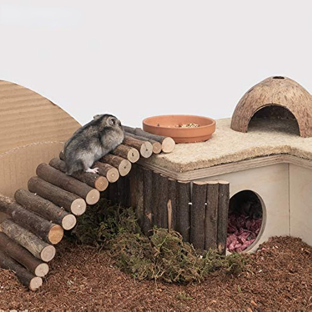 Wooden Hamster Bridge Small Animal Toy and Ladder