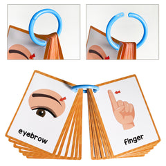 Montessori Body Parts Flash Cards Set: Teach Kids 28 Parts & Boost Skills