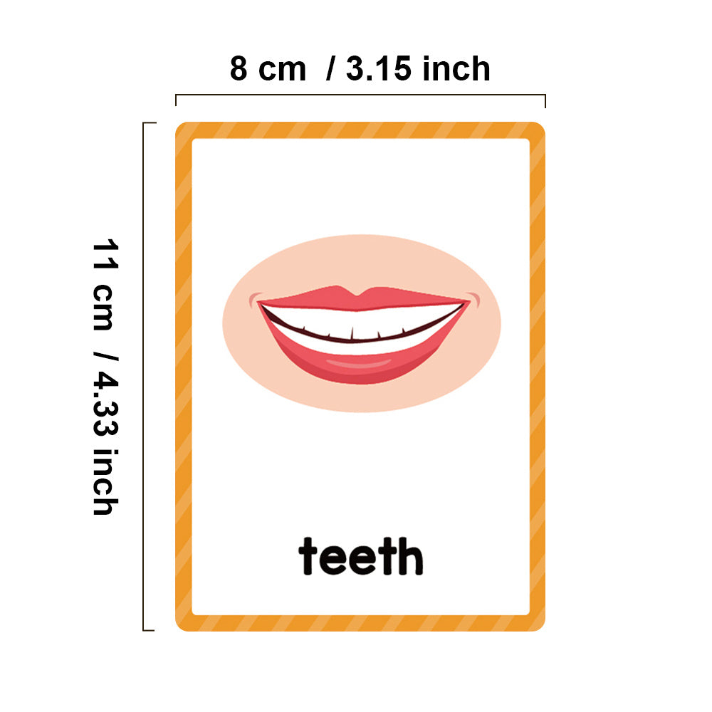 Montessori Body Parts Flash Cards Set: Teach Kids 28 Parts & Boost Skills