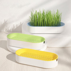Cat Grass Planting Box Without Seeds Hydroponics Garden Sprouter Tray