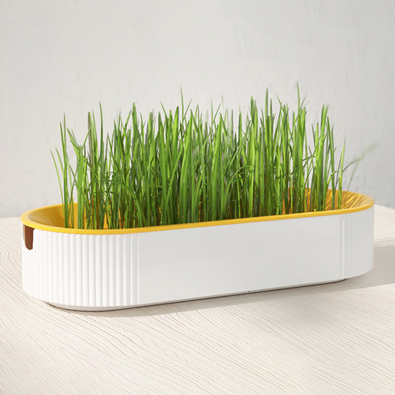 Cat Grass Planting Box Without Seeds Hydroponics Garden Sprouter Tray