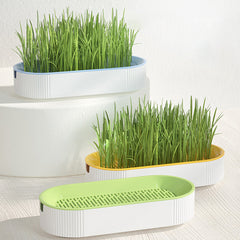 Cat Grass Planting Box Without Seeds Hydroponics Garden Sprouter Tray