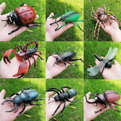 Realistic Insect Toy Set Ants Crickets Spiders Scorpions Ladybugs Dragonflies