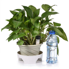 2pcs Plant Self Drip Irrigation Slow Waterers Balcony Succulent Sprinkler