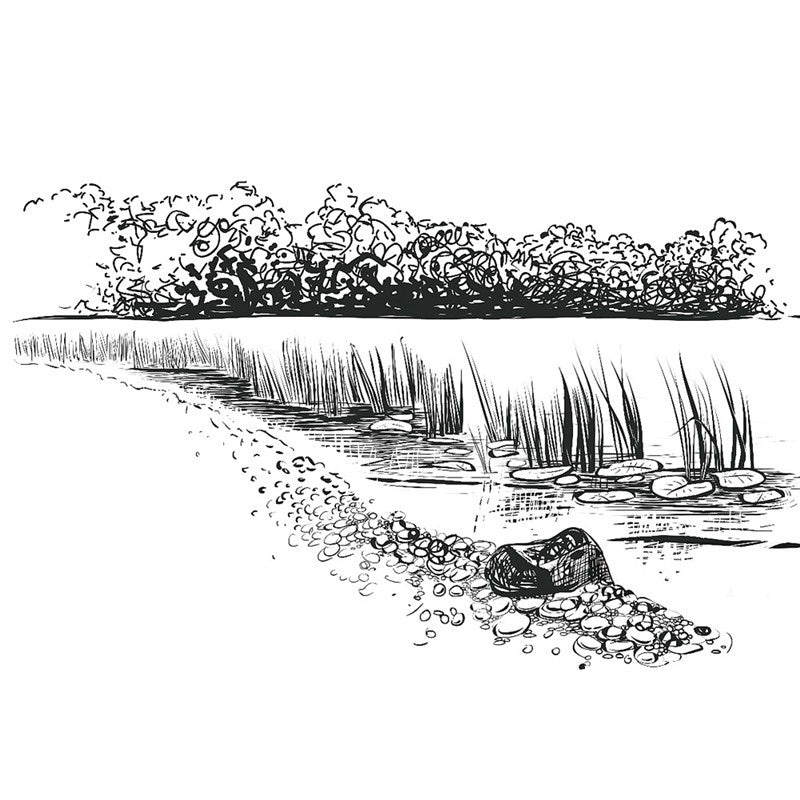 Water Grass By the River Clear Silicone Stamp DIY Scrapbooking