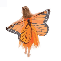 Colorful Butterfly Wing Costume Toddler Dress Up Fairy Wing For Kids Girls