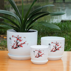 PP Resin Indoor Flower Pot Ideal For Succulents & Clivia