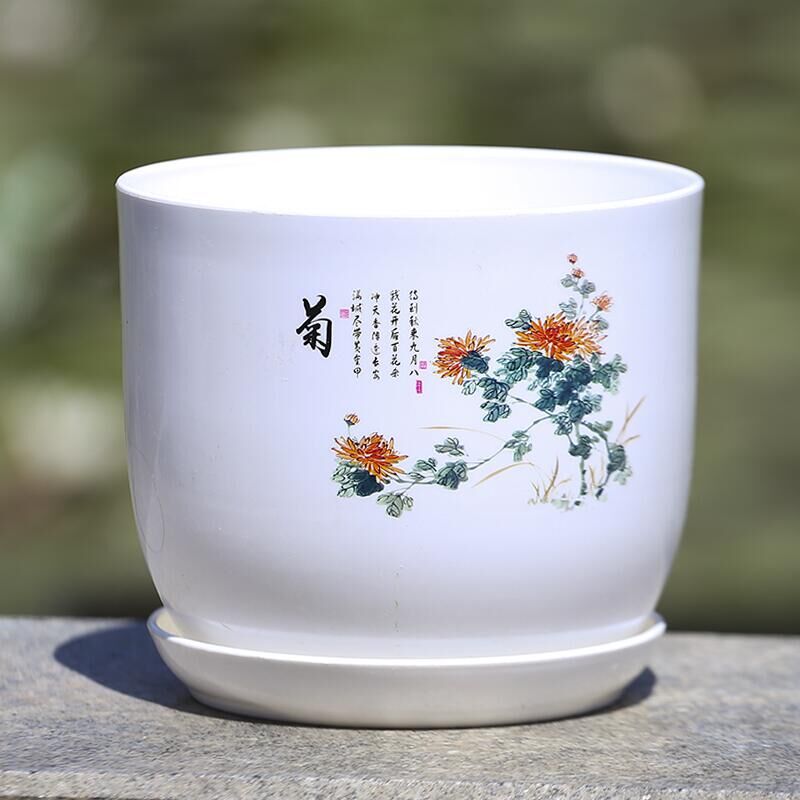 PP Resin Indoor Flower Pot Ideal For Succulents & Clivia