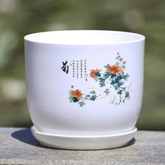 PP Resin Indoor Flower Pot Ideal For Succulents & Clivia