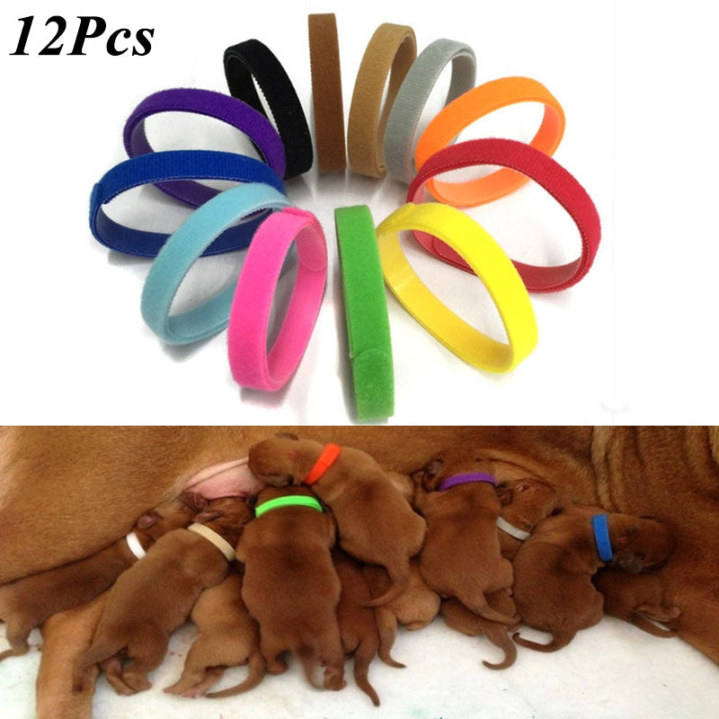 12-pc Adjustable Nylon Puppy & Kitten Collars for Newborn Pets