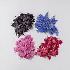 12pcs Natural Cornflower Dry Flower Embossing DIY for Bookmarks Photo Frames