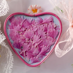 12pcs Natural Cornflower Dry Flower Embossing DIY for Bookmarks Photo Frames