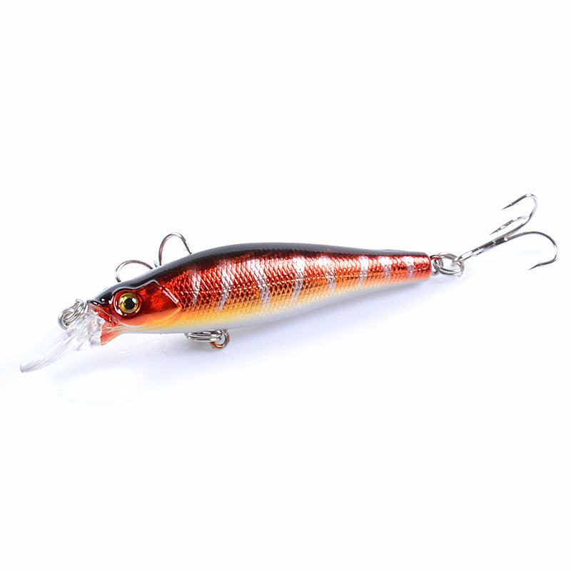 Topwater Laser Minnow Crankbait for Bass Redfish Trout