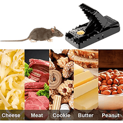 6pcs Indoor Mouse Trap Quick and Effective for Home and Pet Safety