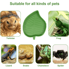 Durable Reptile Food and Water Bowl for Tortoise Habitat