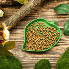 Durable Reptile Food and Water Bowl for Tortoise Habitat