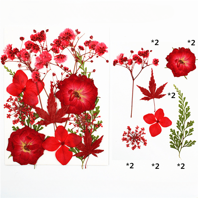 12pcs Dried Flower Gypsophila DIY Phone Nail Art