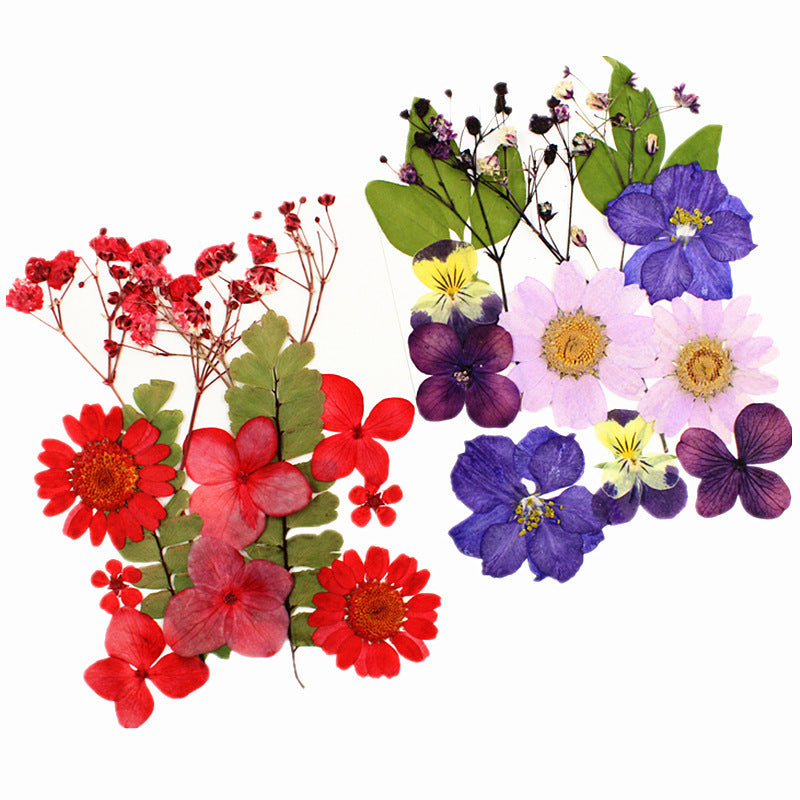 12pcs Dried Flower Gypsophila DIY Phone Nail Art