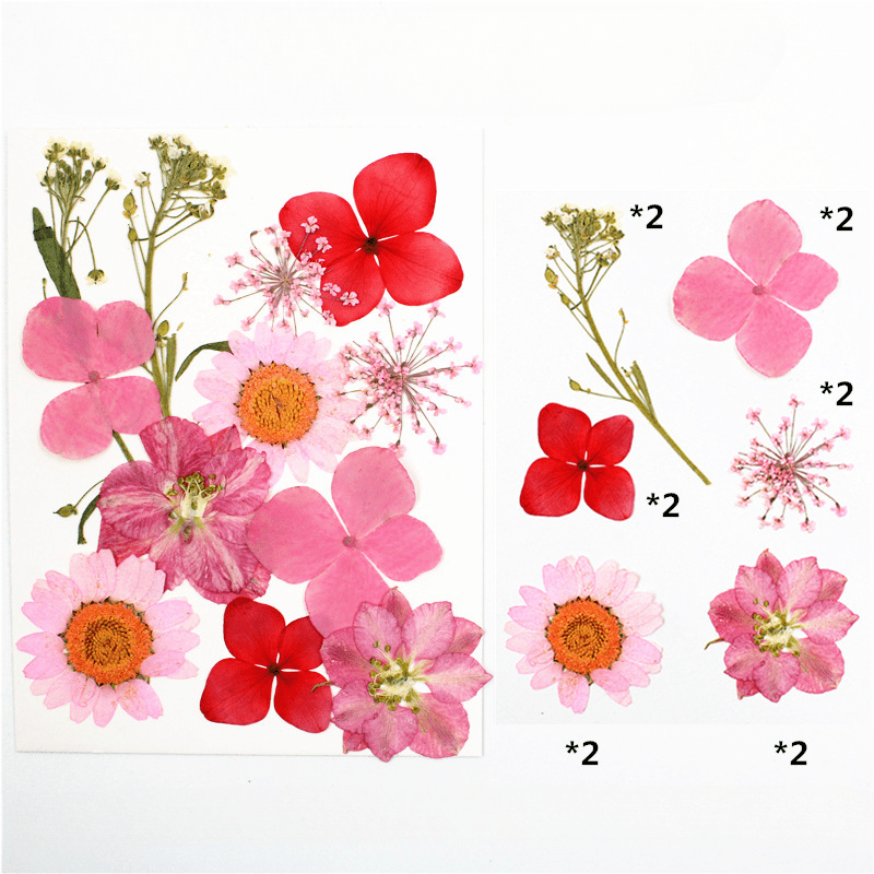 12pcs Dried Flower Gypsophila DIY Phone Nail Art