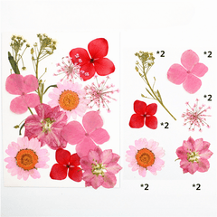 12pcs Dried Flower Gypsophila DIY Phone Nail Art