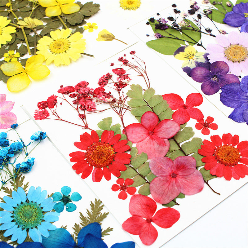 12pcs Dried Flower Gypsophila DIY Phone Nail Art