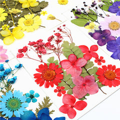 12pcs Dried Flower Gypsophila DIY Phone Nail Art