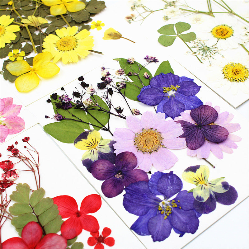 12pcs Dried Flower Gypsophila DIY Phone Nail Art
