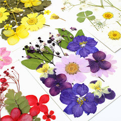 12pcs Dried Flower Gypsophila DIY Phone Nail Art