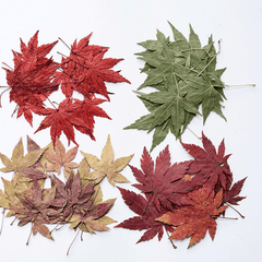 12 Assorted Dried Flower Bookmarks for DIY Art Projects