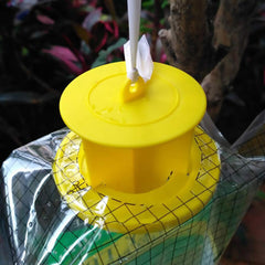 Outdoor Disposable Hanging Fly Trap With Bait Fly Trap
