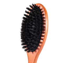 Natural Boar Bristle Hairbrush Wooden Handle Healthy Hair Growth