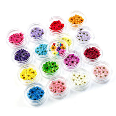 Mini Multicolor Daisy Flower Heads for Crafts