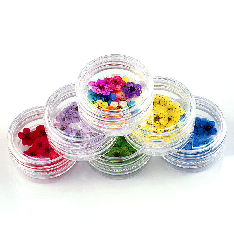 Mini Multicolor Daisy Flower Heads for Crafts