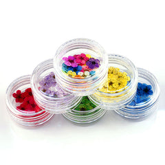 Mini Multicolor Daisy Flower Heads for Crafts