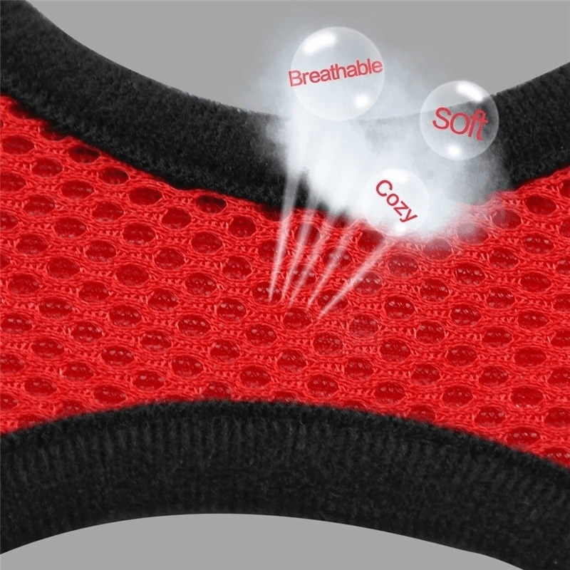 Adjustable Mesh Cat Harness Vest with Leash Set for Small to Medium Pets