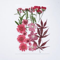 Resin Craft Kit Pressed Flowers Leaves Herbs for Jewelry Candles Soap Making