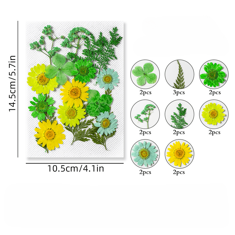 Resin Craft Kit Pressed Flowers Leaves Herbs for Jewelry Candles Soap Making