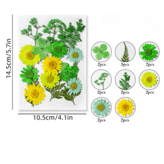 Resin Craft Kit Pressed Flowers Leaves Herbs for Jewelry Candles Soap Making