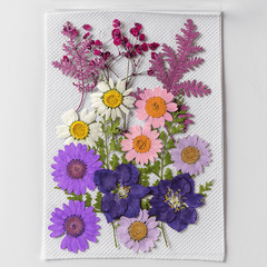 Resin Craft Kit Pressed Flowers Leaves Herbs for Jewelry Candles Soap Making