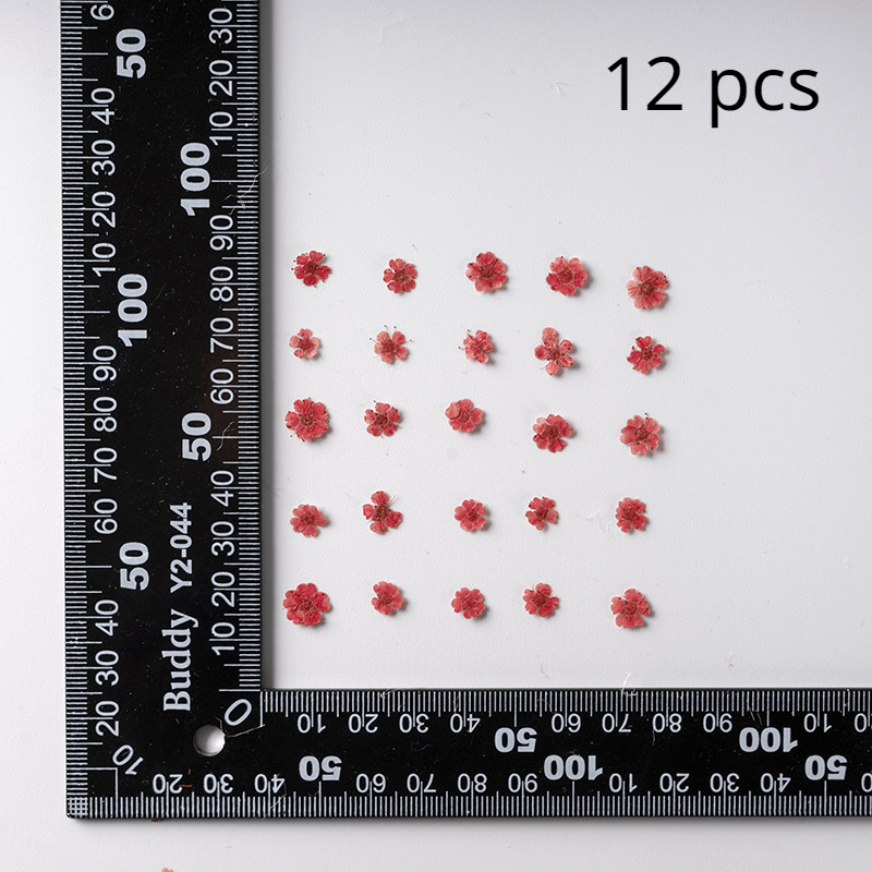 Resin Craft Kit Pressed Flowers Leaves Herbs for Jewelry Candles Soap Making