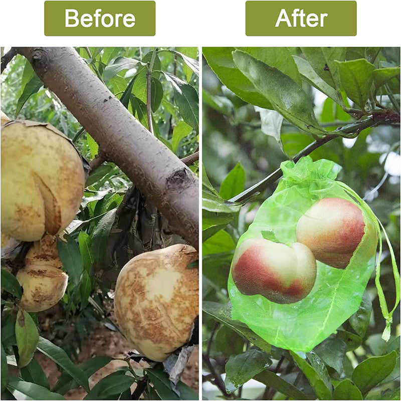 1pc Fruit Protection Bag Grape Strawberry Insect Bird proof Mesh Bag